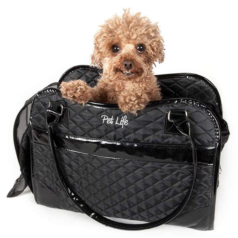 luxury designer dog carrier.